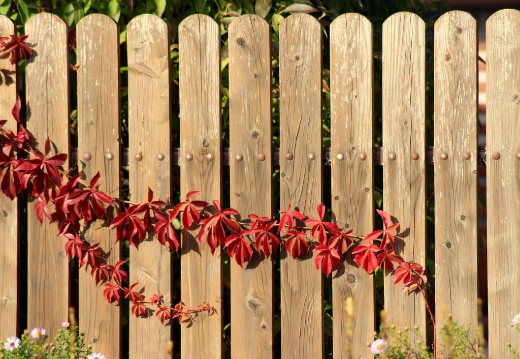 Wood Fences